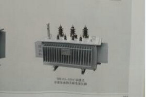 SBH15-10kV油浸式非晶合金鐵芯配電壓器 SBH15-10kV油浸式非晶合金鐵芯配電壓器