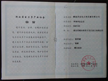 湖北省電力多產(chǎn)業(yè)協(xié)會